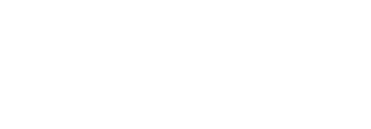 La.io Logo Full White